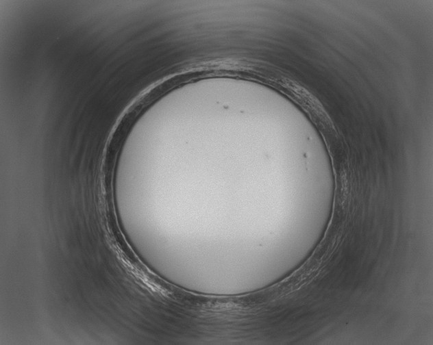 X0000084550784200702230934