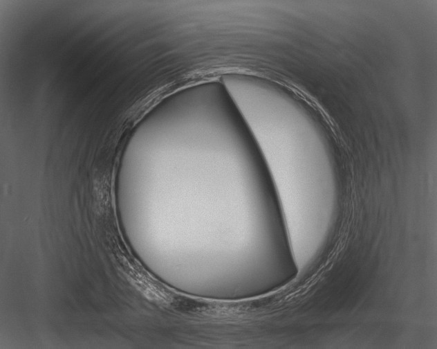X0000084550785200702230934