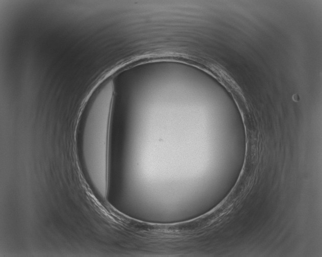 X0000084550789200702230934