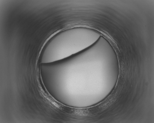 X0000084550790200702230934
