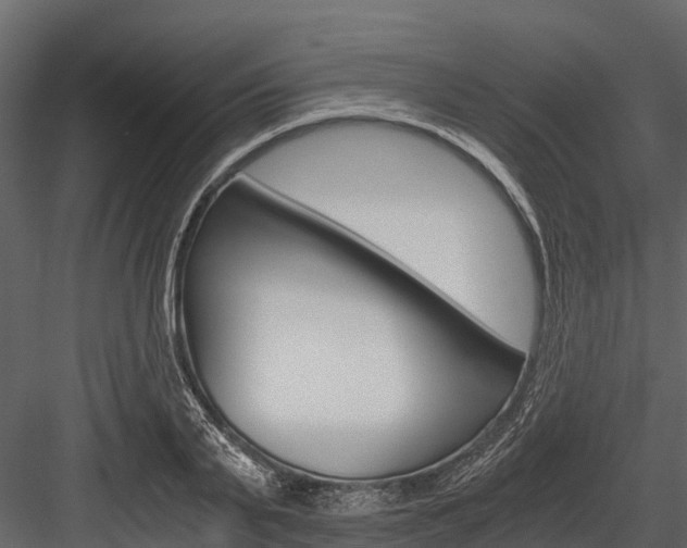 X0000084550791200702230934