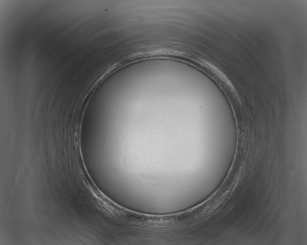 X0000084550793200702230934