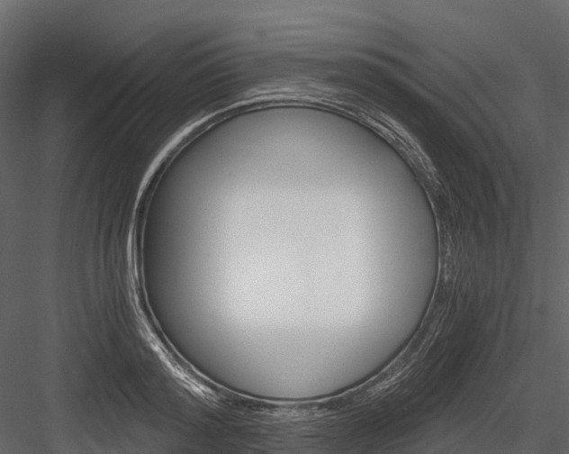 X0000084550796200702230933