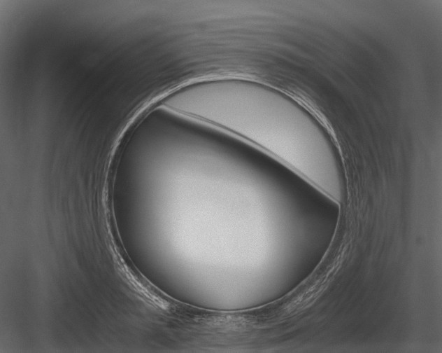 X0000084550797200702230933