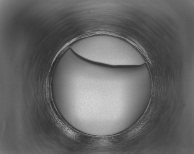 X0000084550798200702230933