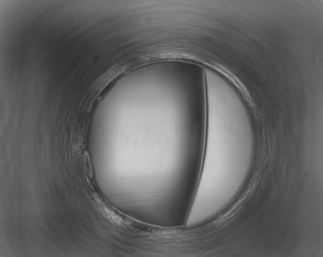 X0000084550801200702230933