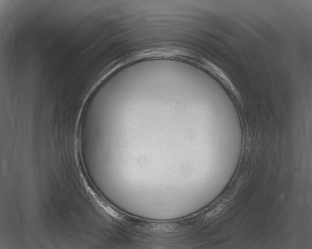 X0000084550802200702230933