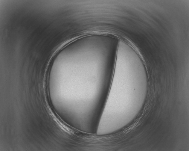 X0000084550803200702230933