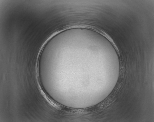X0000084550811200702230933