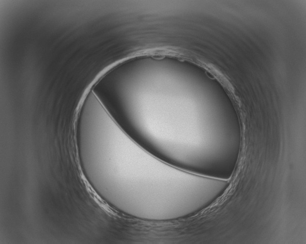 X0000084550816200702230933
