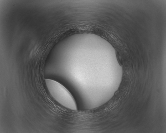 X0000084550817200702230932