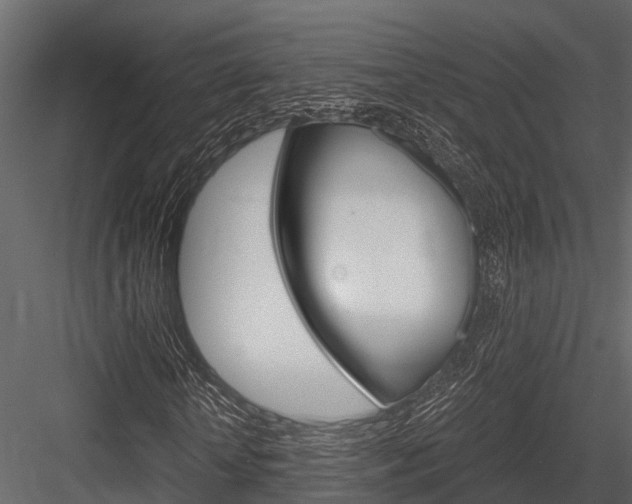X0000084550818200702230932