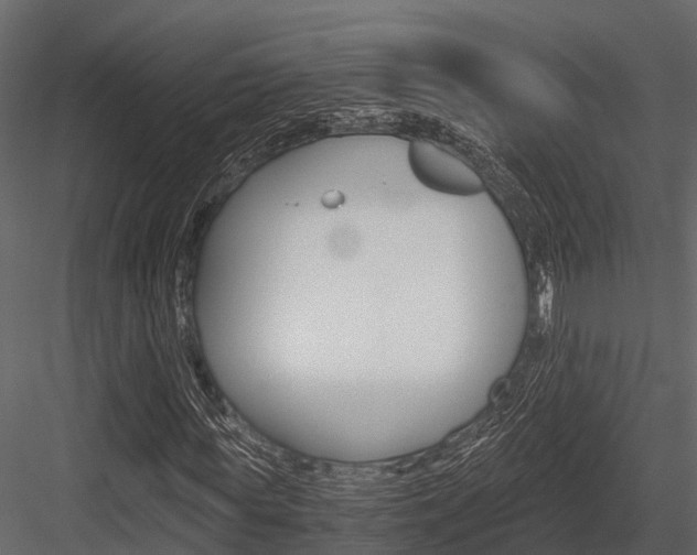 X0000084550819200702230932