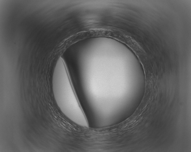 X0000084550821200702230932