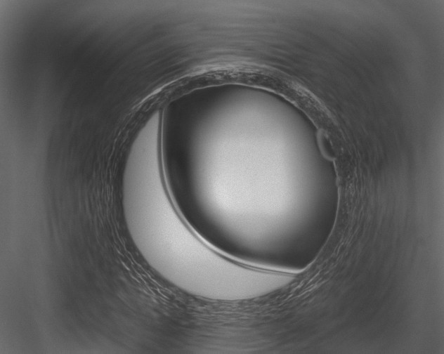 X0000084550822200702230932