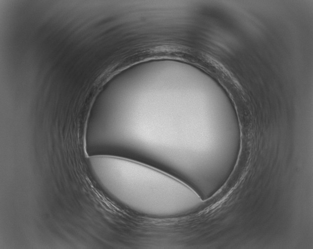 X0000084550825200702230932