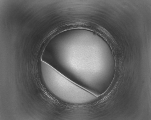 X0000084550826200702230932
