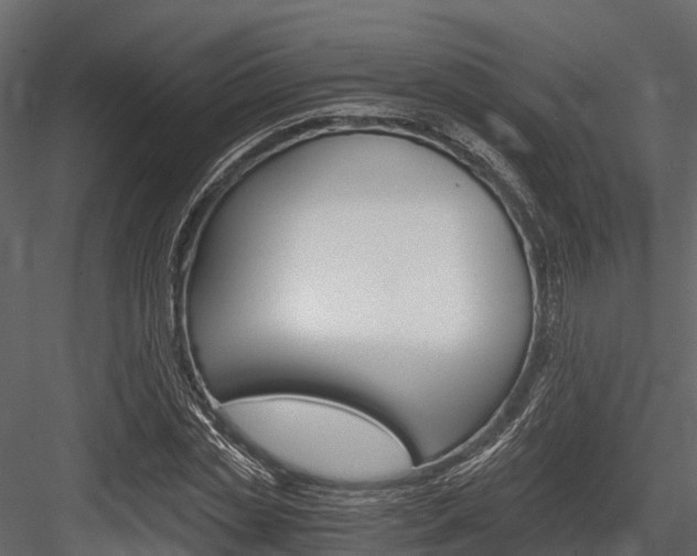 X0000084550829200702230933