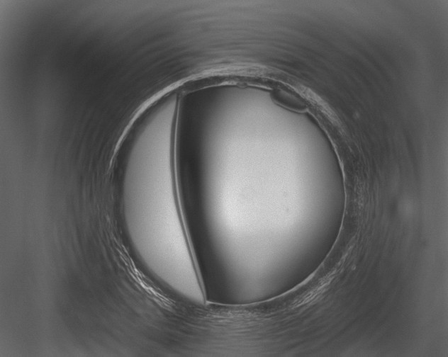 X0000084550830200702230933