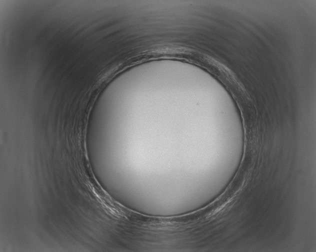 X0000084550833200702230933