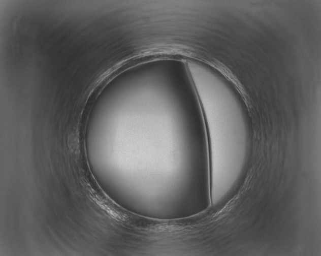 X0000084550834200702230933