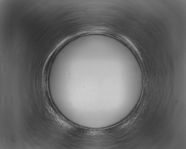 X0000084550835200702230933