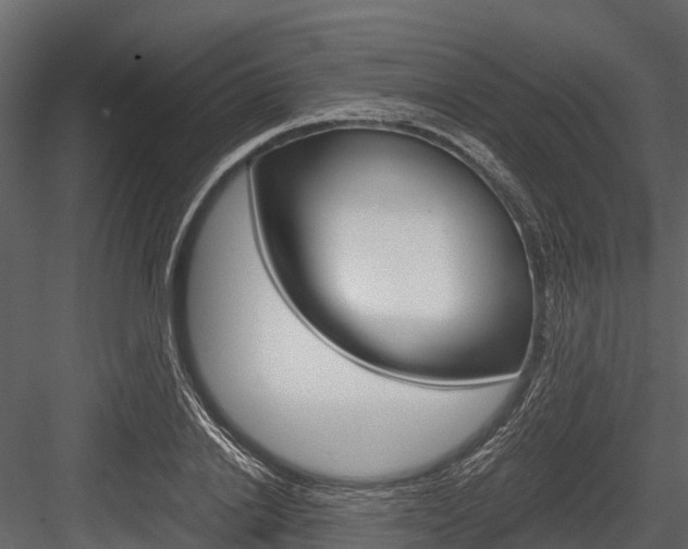 X0000084550838200702230933