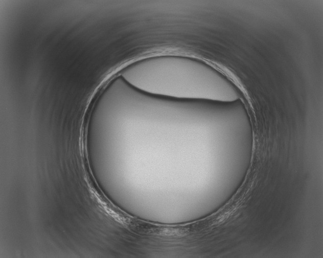 X0000084550839200702230933