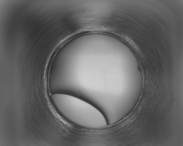 X0000084550840200702230933