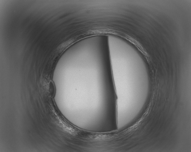 X0000084550841200702230933