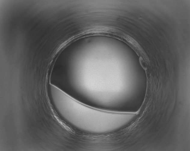 X0000084550842200702230933