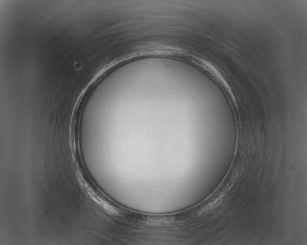X0000084550843200702230933