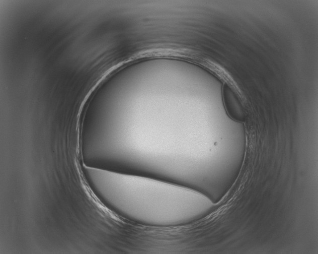 X0000084550844200702230933