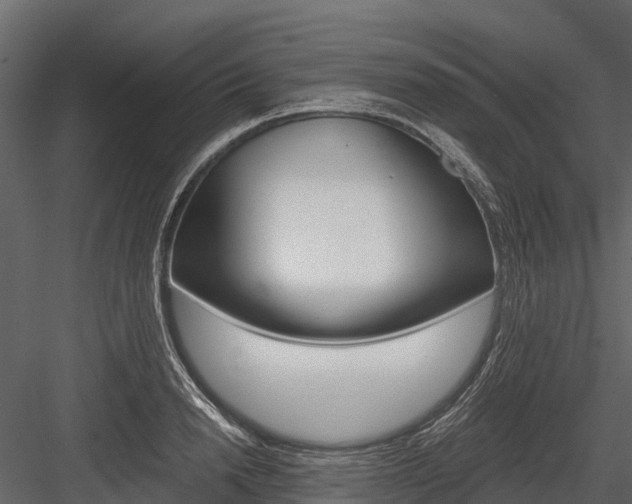 X0000084550846200702230933