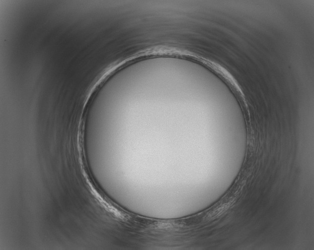 X0000084550847200702230933