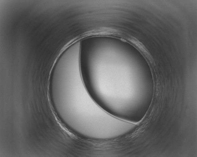 X0000084550850200702230933