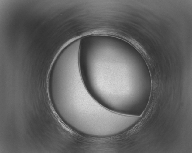 X0000084550854200702230933