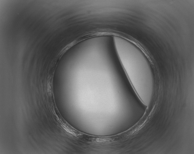 X0000084550857200702230933
