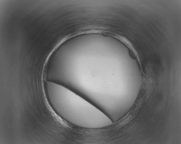 X0000084550859200702230933