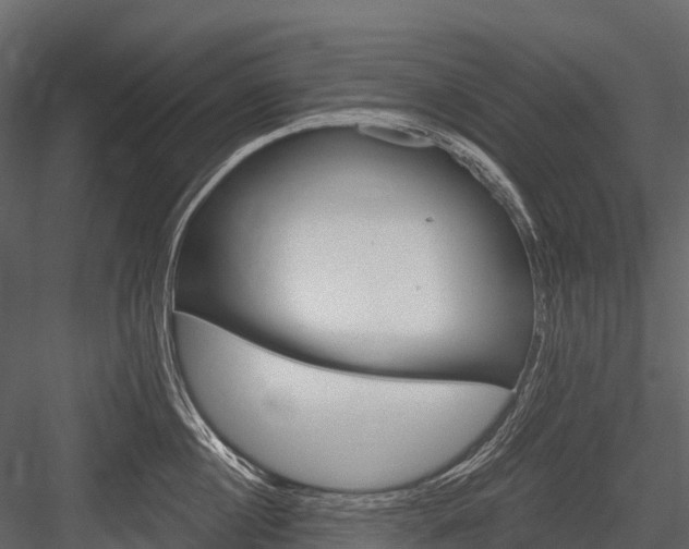 X0000084550860200702230933