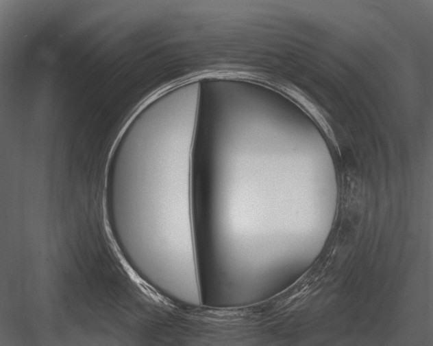 X0000084550861200702230933