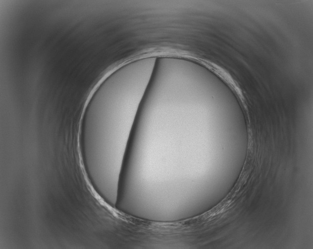 X0000084550863200702230933