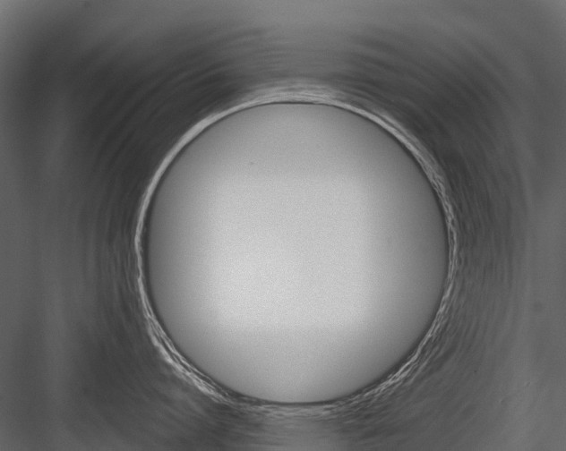 X0000084550864200702230933