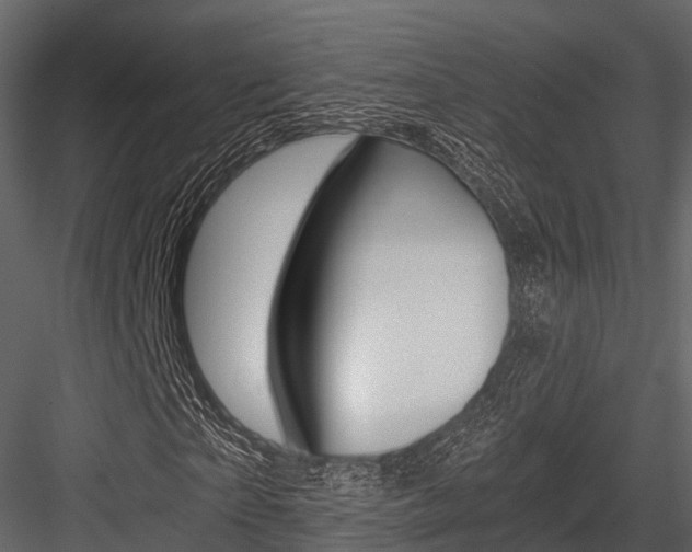 X0000084550865200702230932