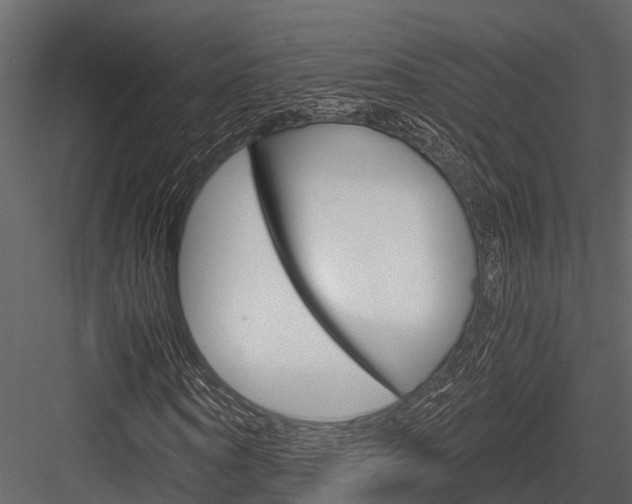 X0000084550866200702230932