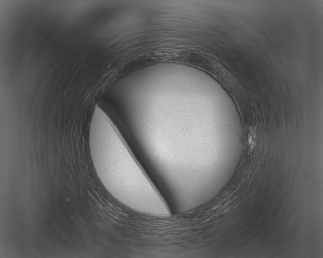 X0000084550867200702230932