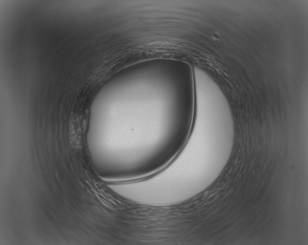 X0000084550868200702230932