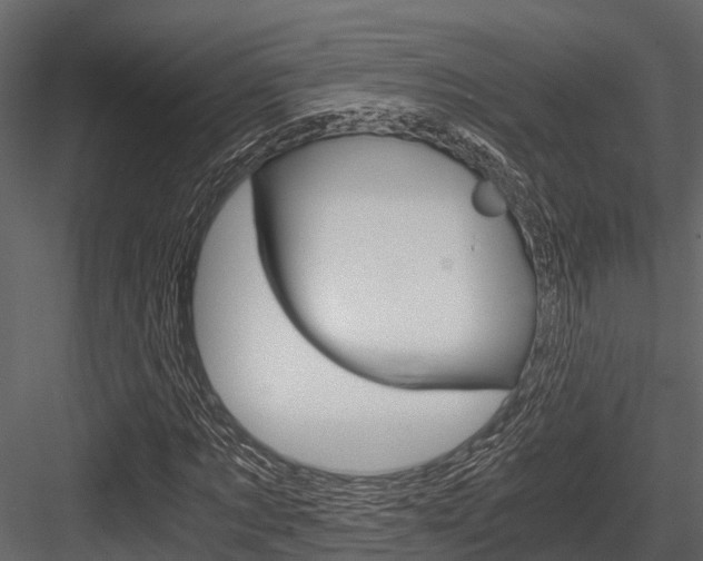 X0000084550869200702230932