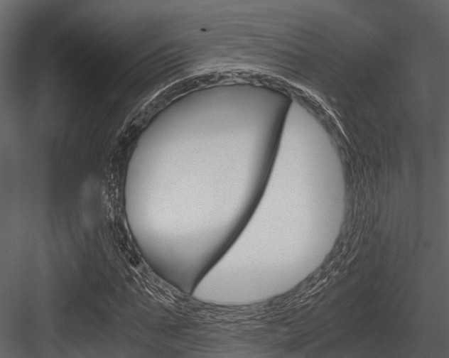 X0000084550871200702230932