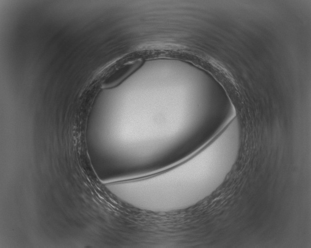 X0000084550872200702230932